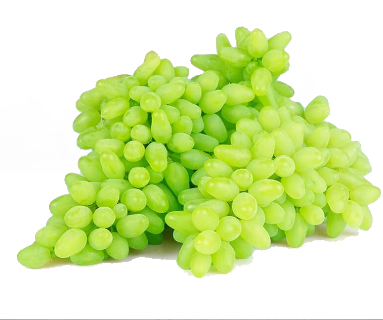 انگور